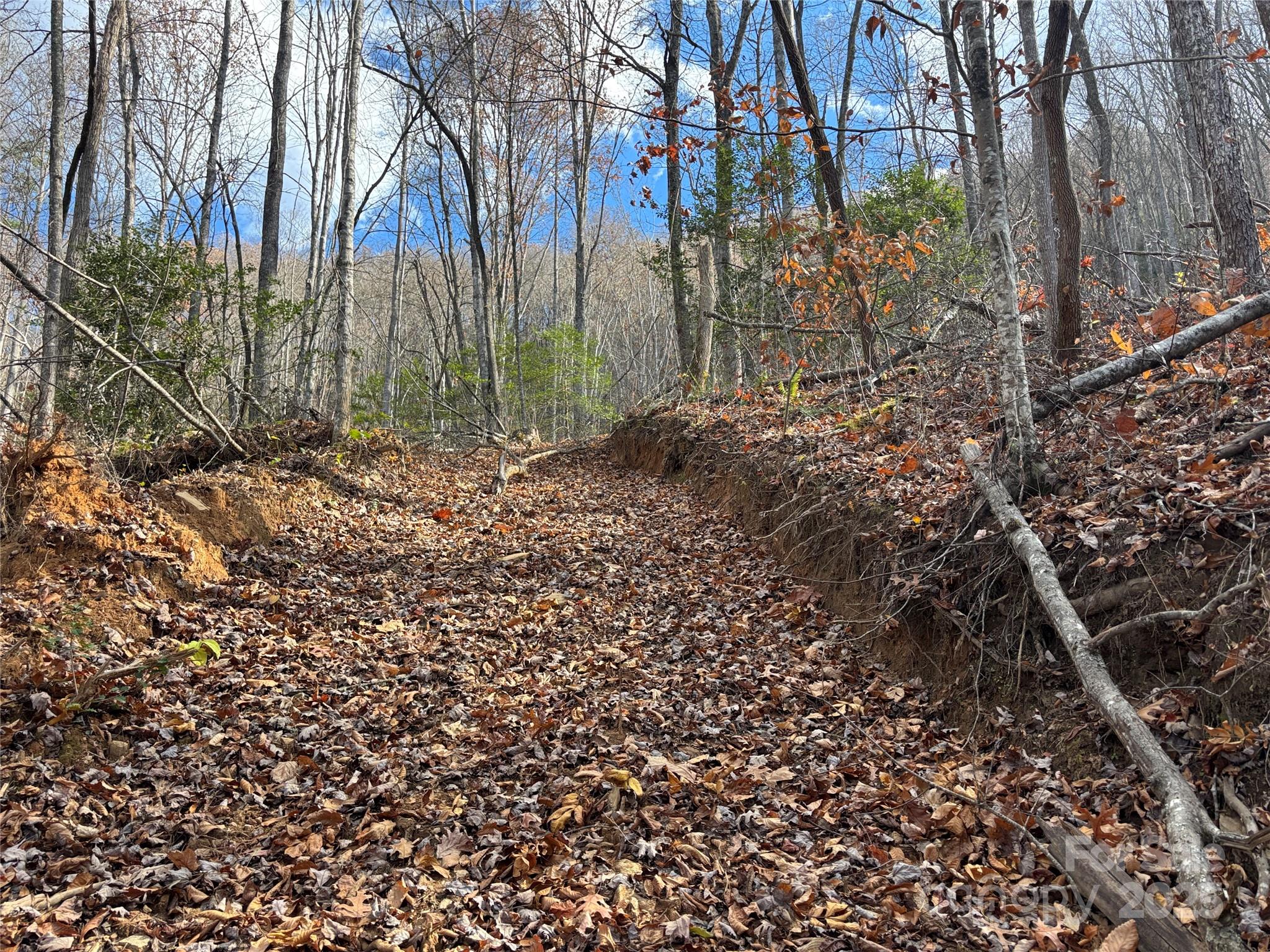 0 Barkers Creek Road Whittier, NC 28789 - Photo 23 of 25 a view of a yard with large trees