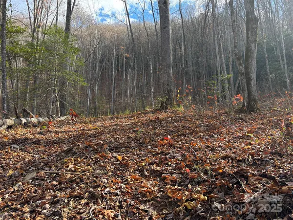 $160,000 | 0 Barkers Creek Road, Whittier, NC 28789