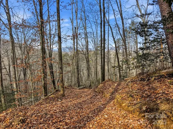 $160,000 | 0 Barkers Creek Road, Whittier, NC 28789