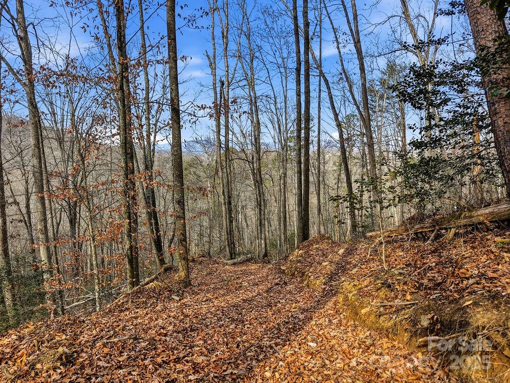 0 Barkers Creek Road Whittier, NC 28789 - Photo 3 of 25 a view of a backyard of the house