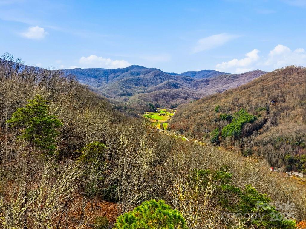 0 Barkers Creek Road Whittier, NC 28789 - Photo 5 of 25 a view of a lush green hillside and a mountain