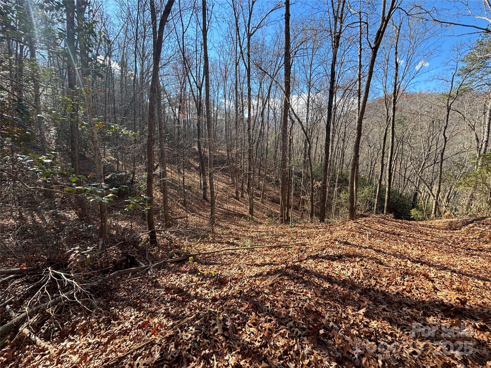 0 Barkers Creek Road Whittier, NC 28789 - Photo 6 of 25 a view of a backyard of the house