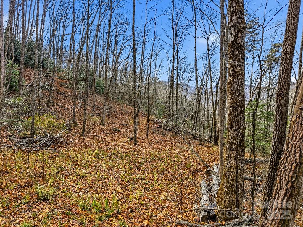0 Barkers Creek Road Whittier, NC 28789 - Photo 9 of 25 a backyard of a house with lots of green space