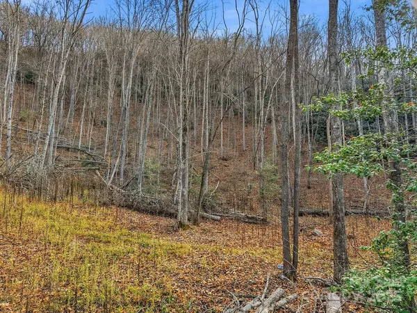 $160,000 | 0 Barkers Creek Road, Whittier, NC 28789