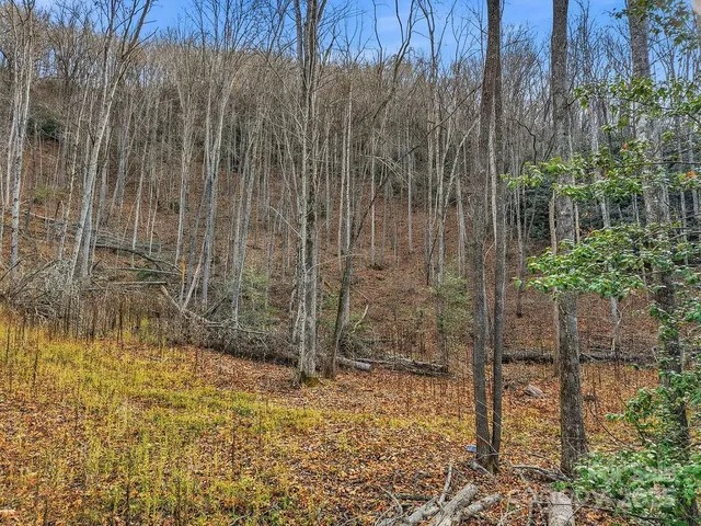 a view of a backyard of the house