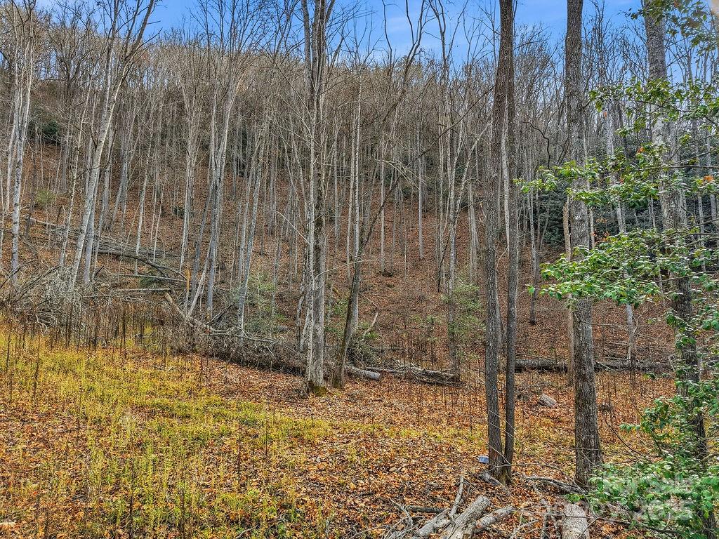 0 Barkers Creek Road Whittier, NC 28789 - Photo 10 of 25 a view of a backyard of the house