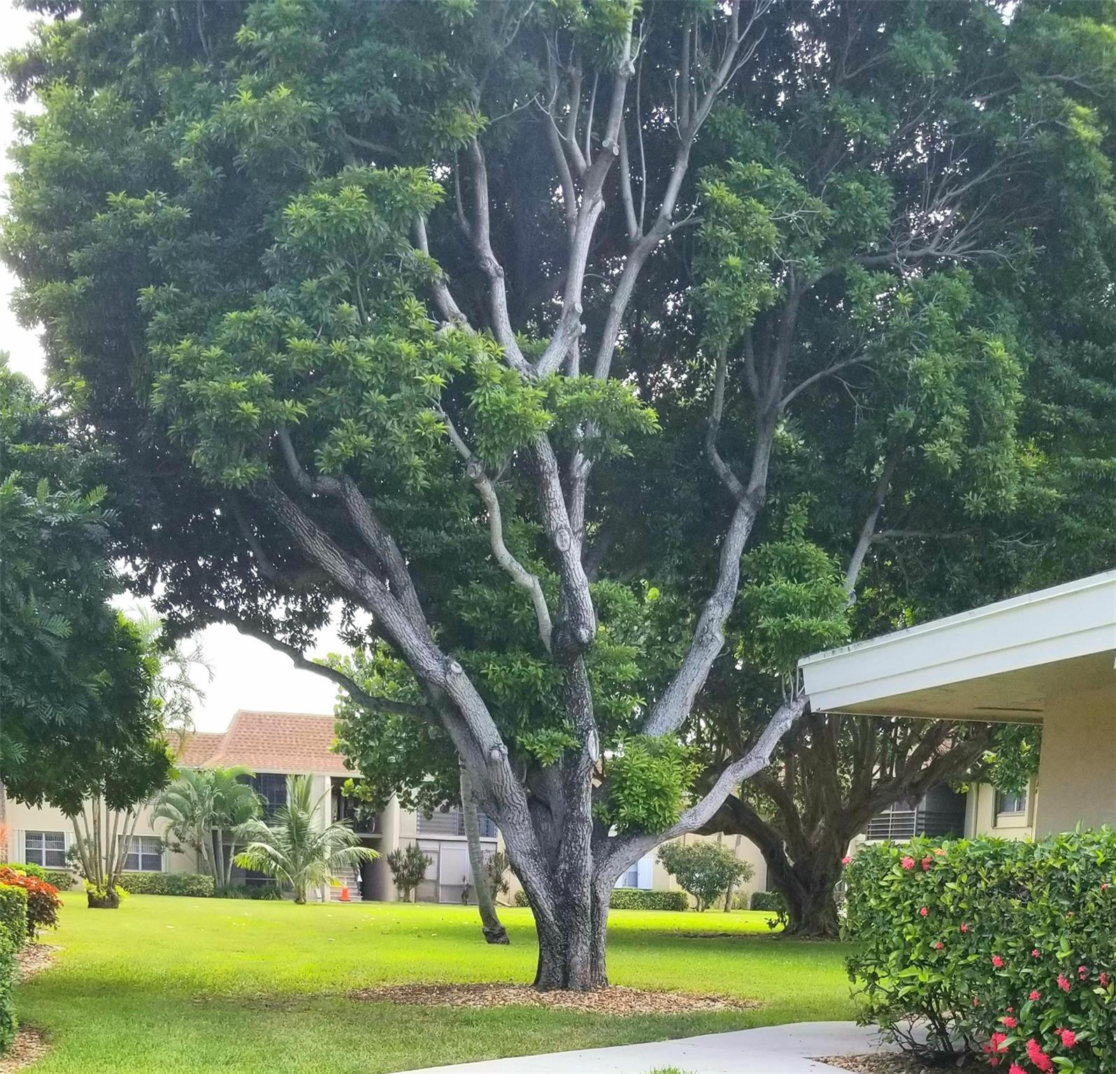 1291 Northwest 13th Street, Unit 450D Boca Raton, FL 33486 - Photo 75 of 75 Photo 76