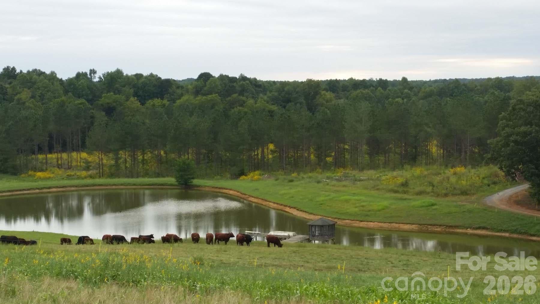 3175 Trotter Road Asheboro, NC 27205 - Photo 44 of 48
