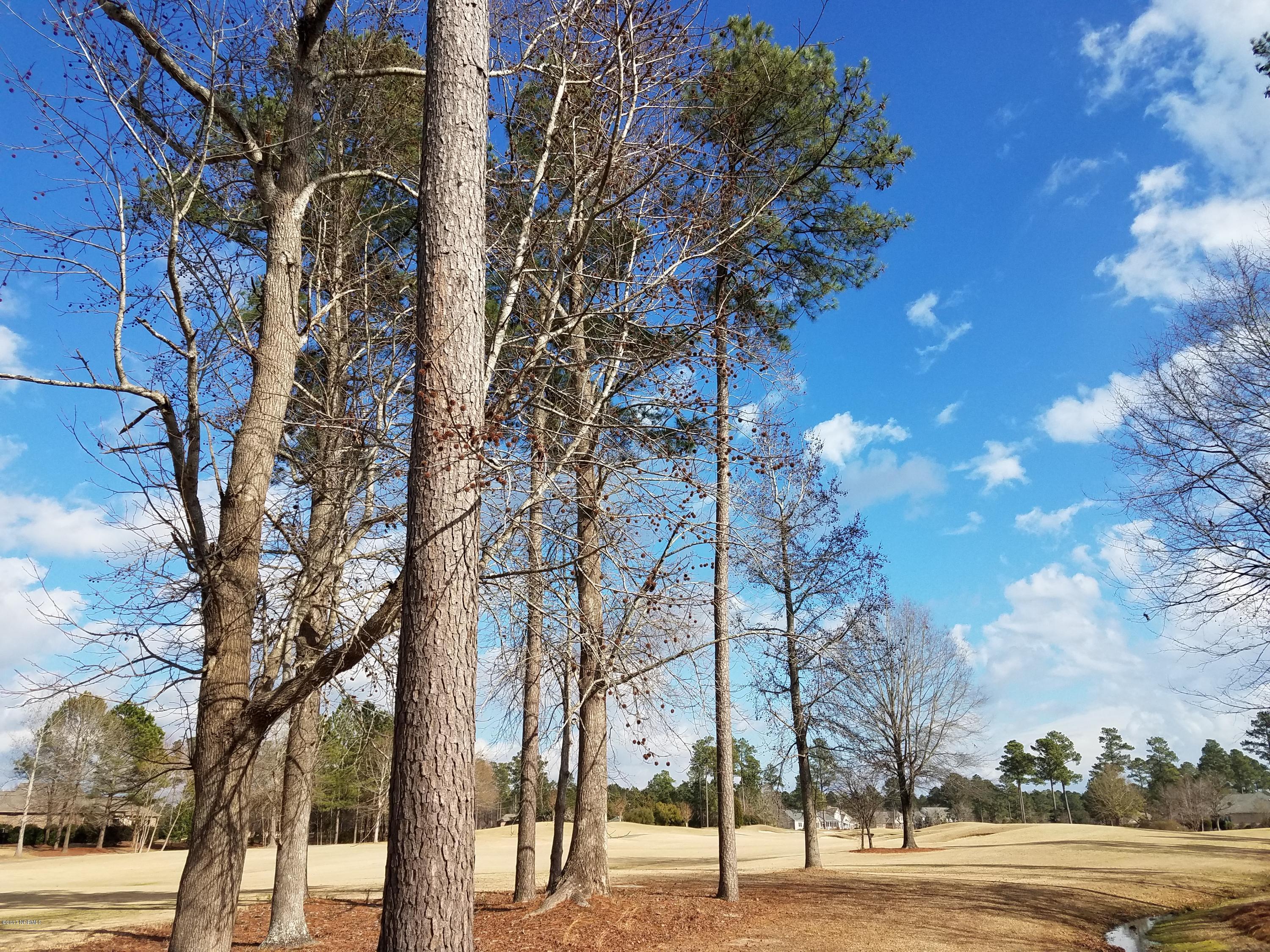 120 Mellen Road New Bern, NC 28562 - Photo 48 of 54 Hole #16 at Taberna CC from the backyard.