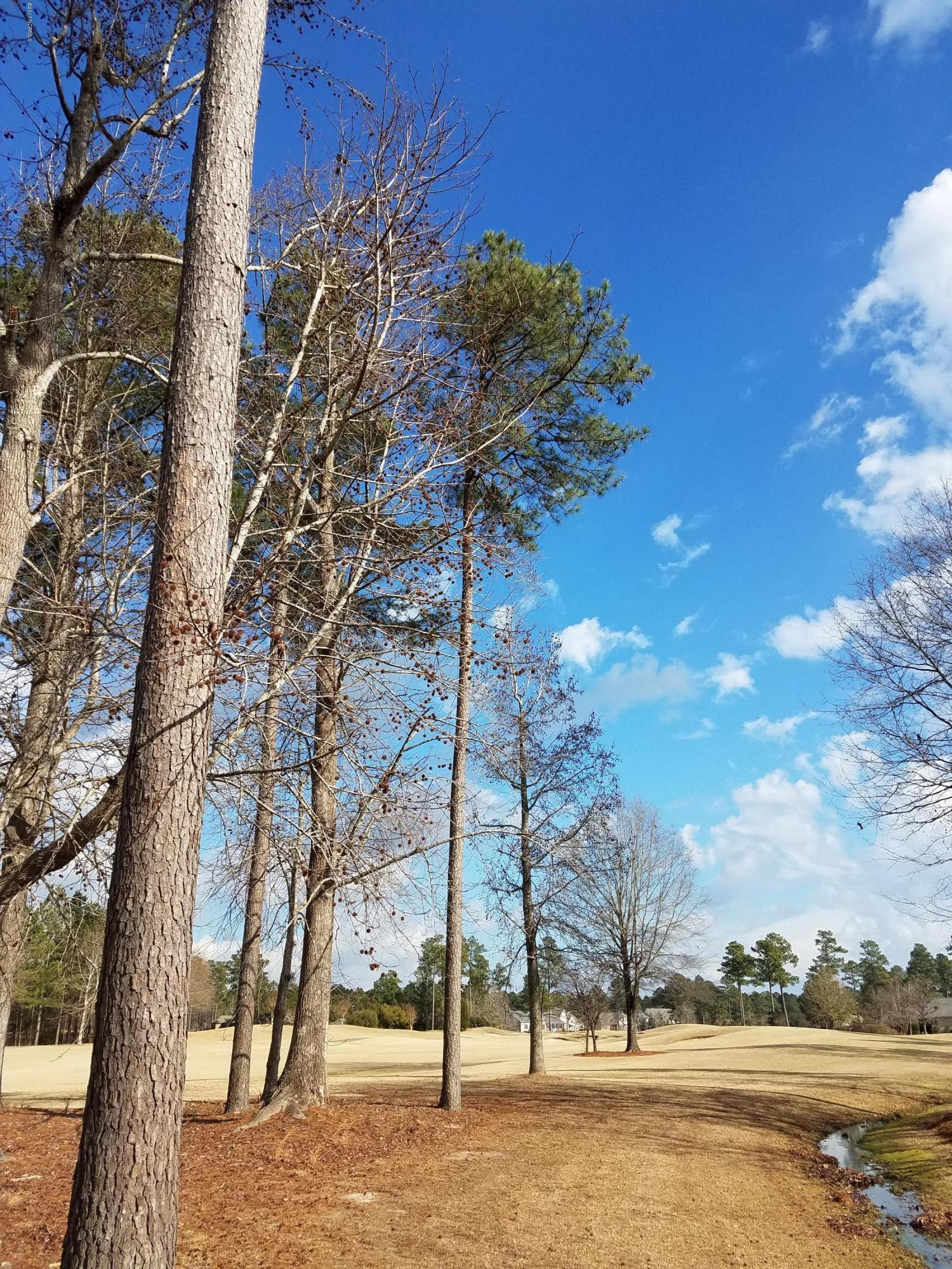 120 Mellen Road New Bern, NC 28562 - Photo 49 of 54 Hole #16