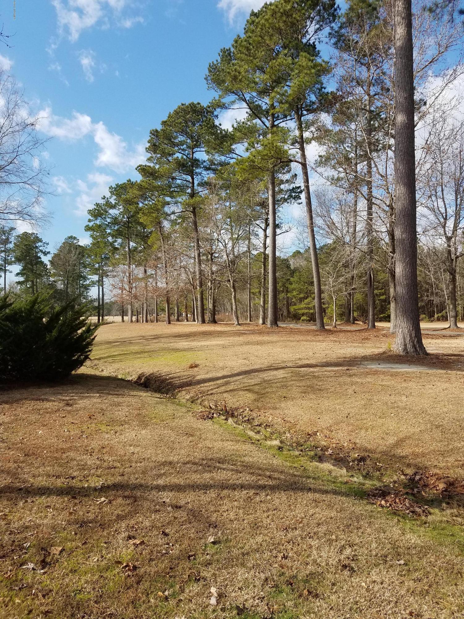 120 Mellen Road New Bern, NC 28562 - Photo 52 of 54 16th Fairway