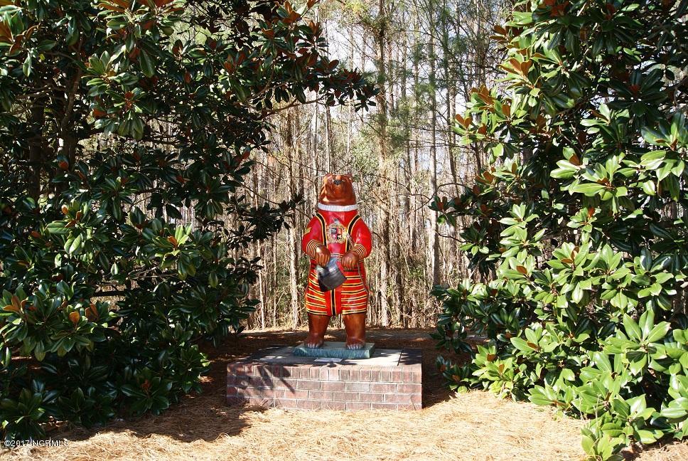 120 Mellen Road New Bern, NC 28562 - Photo 54 of 54 Taberna's Bear
