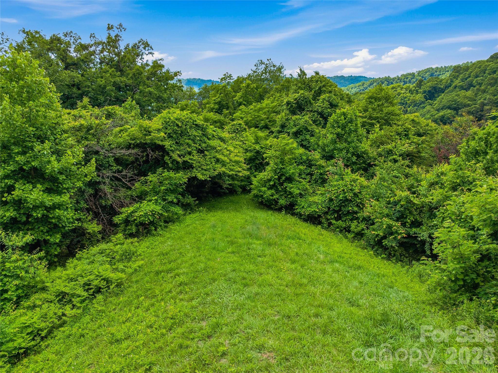 1877 Wilson Cove Road Canton, NC 28716 - Photo 36 of 39