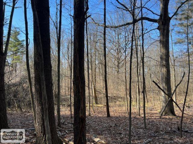 0 Burton Road Capac, MI 48014 - Photo 5 of 10