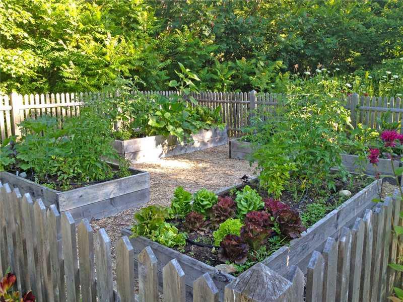 78 Varney Road Freeport, ME 04032 - Photo 21 of 22 Other. Grow your own vegetables in...