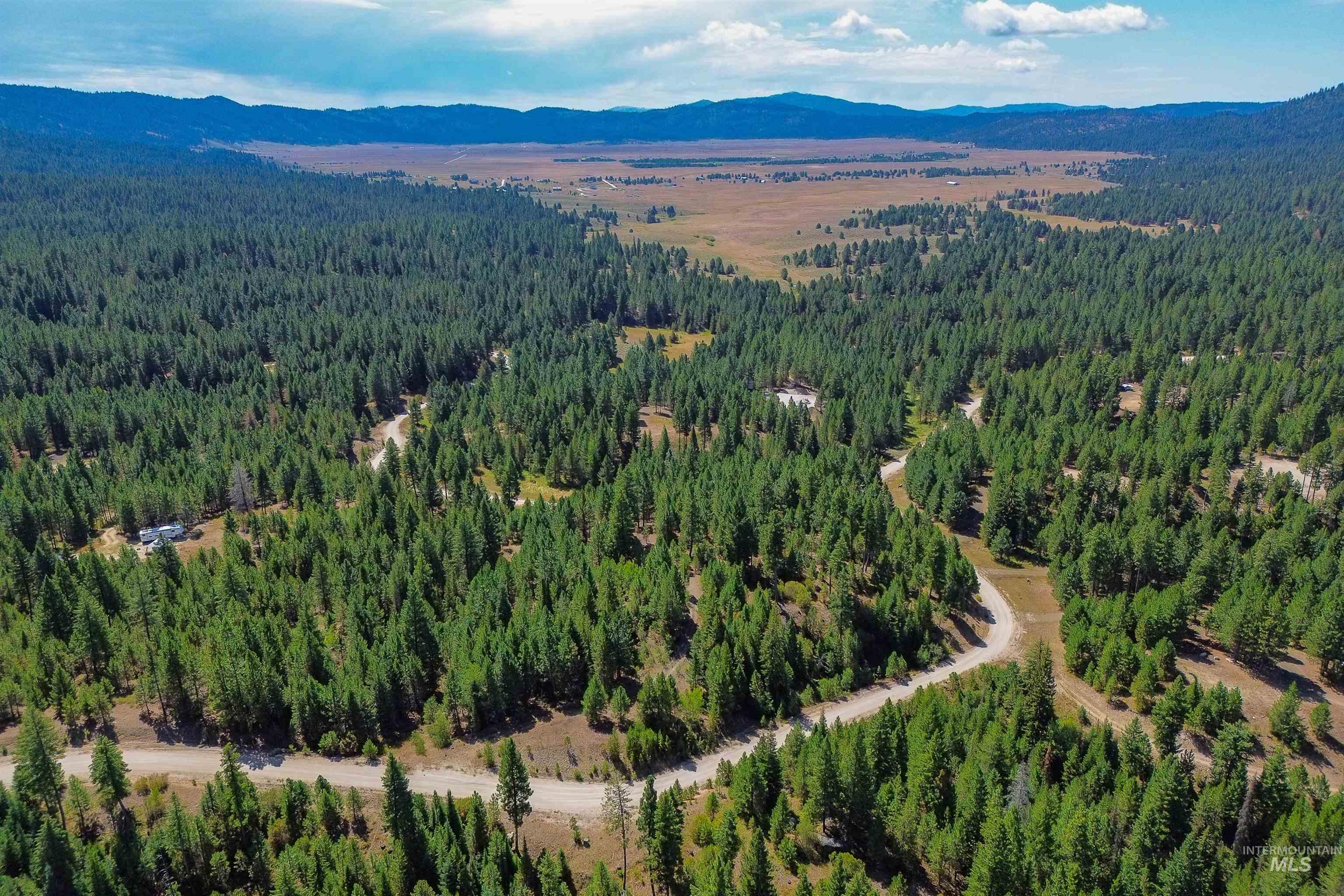 Bird's eye view of a mountain backdrop and a forest