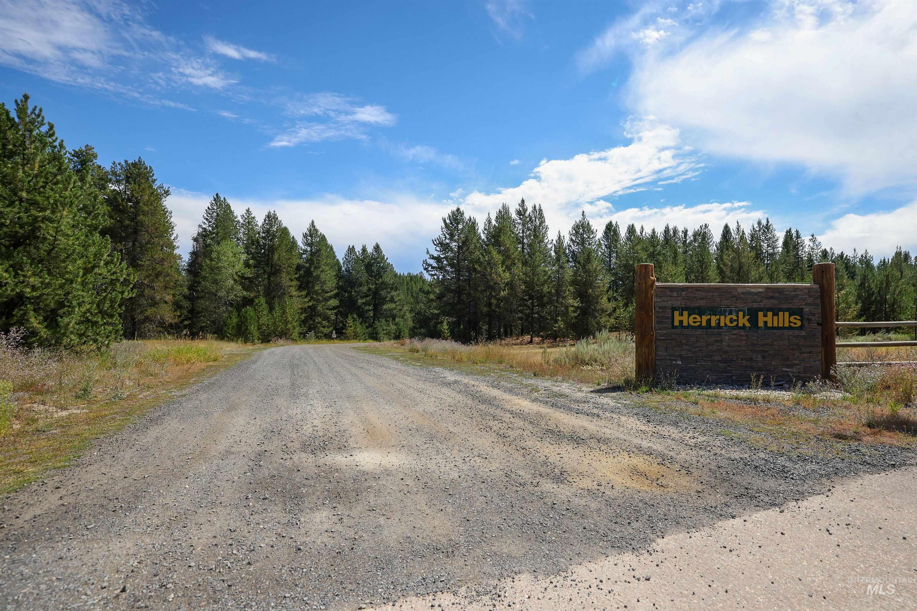 47 Coit Drive Cascade, ID 83611 - Photo 3 of 20 View of dirt / gravel road featuring a view of trees