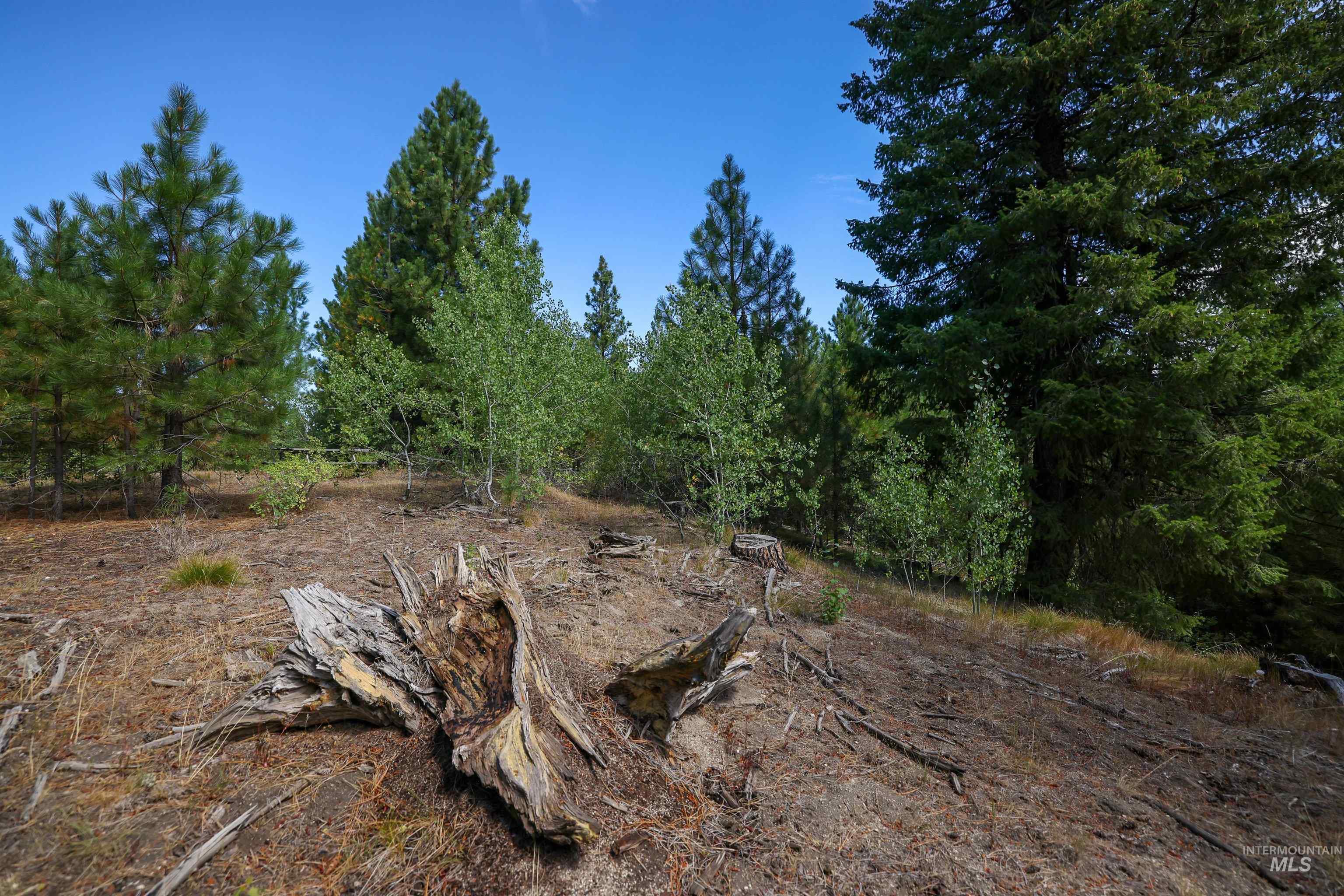47 Coit Drive Cascade, ID 83611 - Photo 9 of 20 View of tree filled area