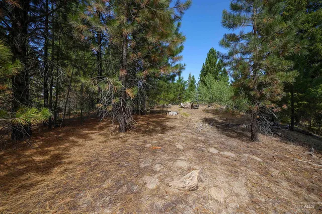 $234,900 | 47 Coit Drive, Cascade, ID 83611