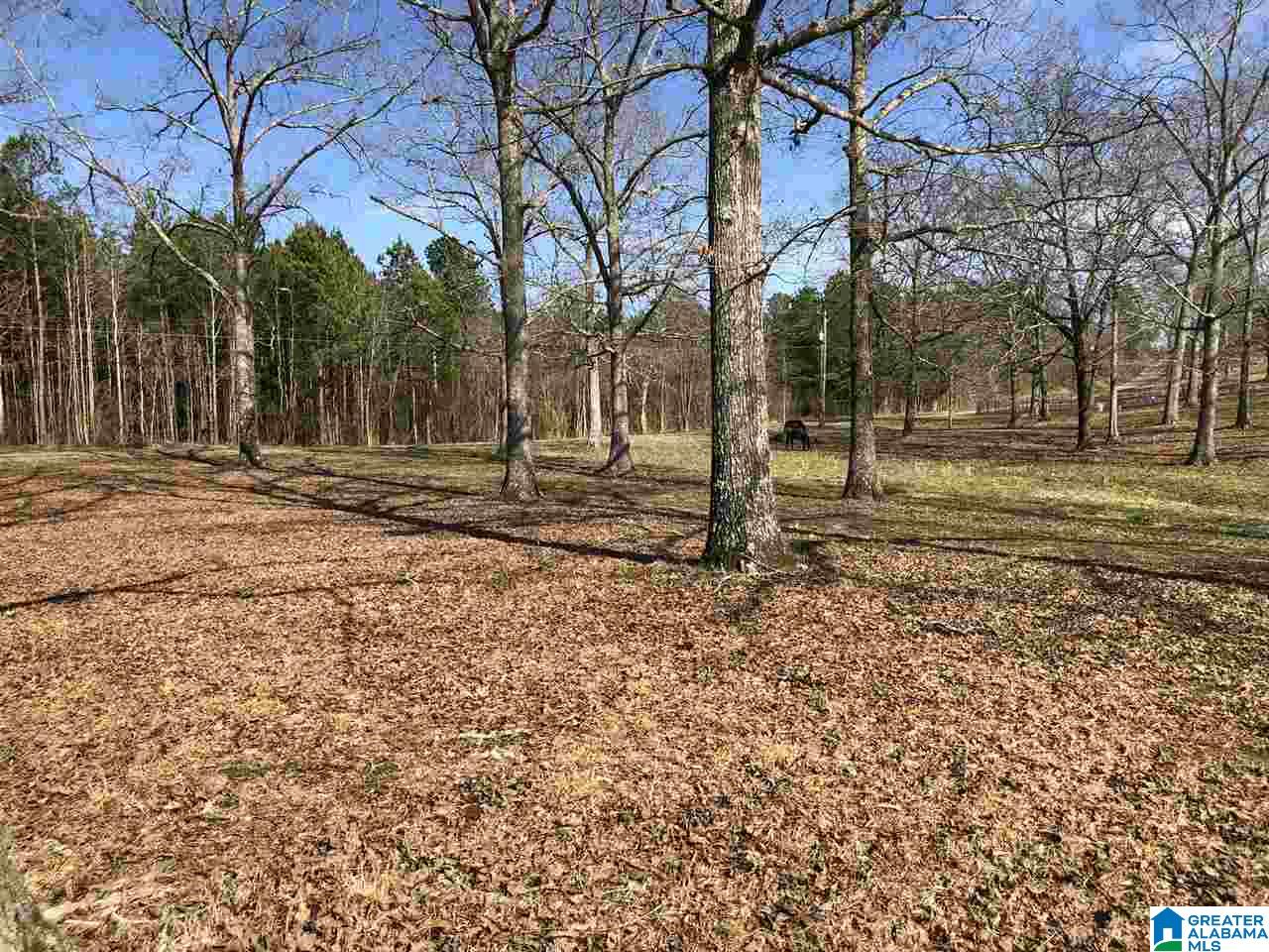609 Cobb Brazeel Road Trafford, AL 35172 - Photo 26 of 42
