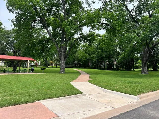 a view of a garden with trees