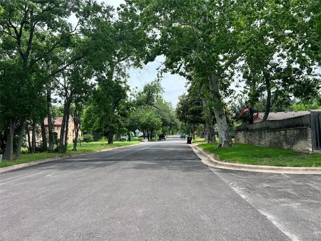 a view of a park with a large trees