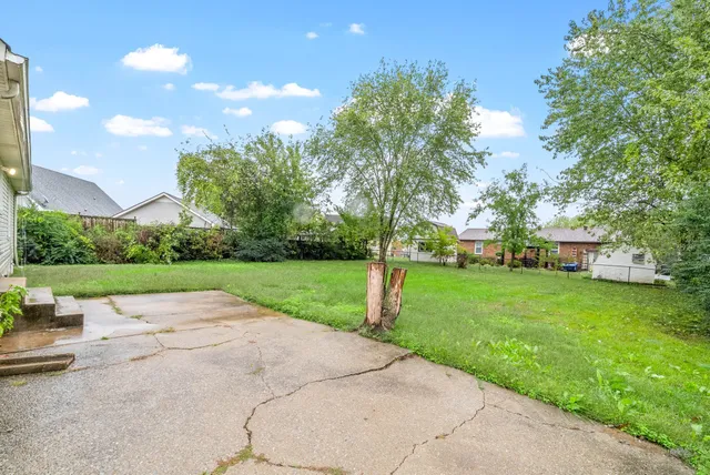 a view of a park with large trees