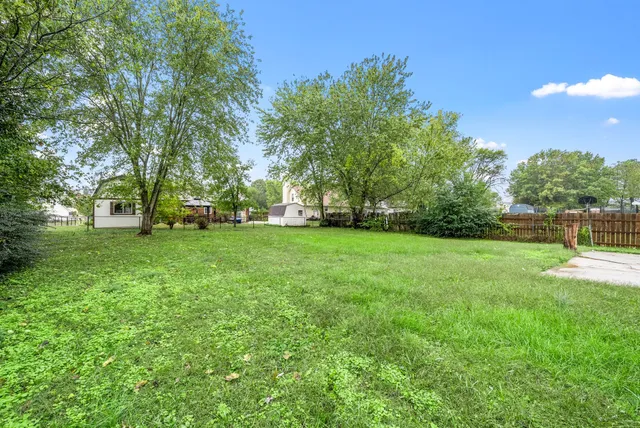 a view of a park with large trees