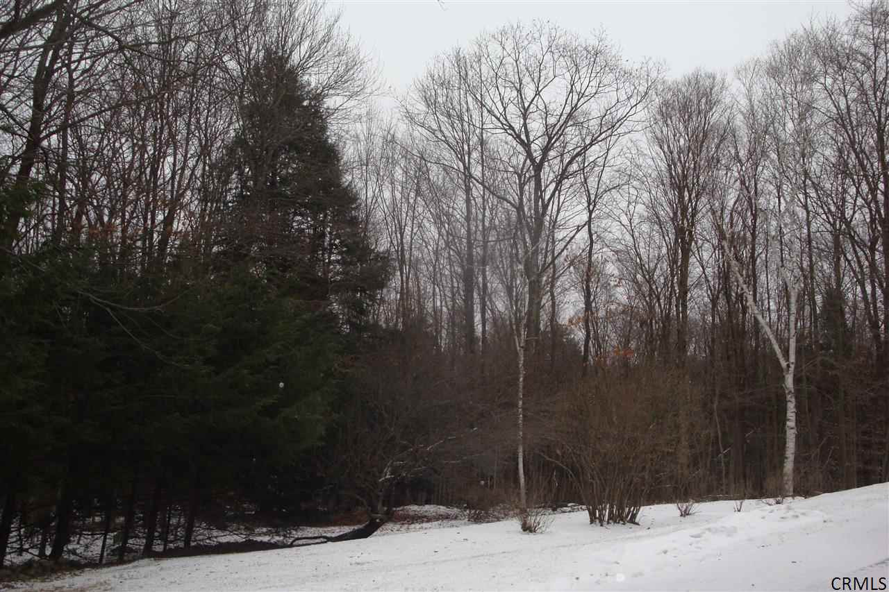 332 Roaser Road Sand Lake, NY 12153 - Photo 3 of 16 Photo 3