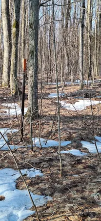 $49,500 | Vl North Sharon Road, Kalkaska, MI 49646