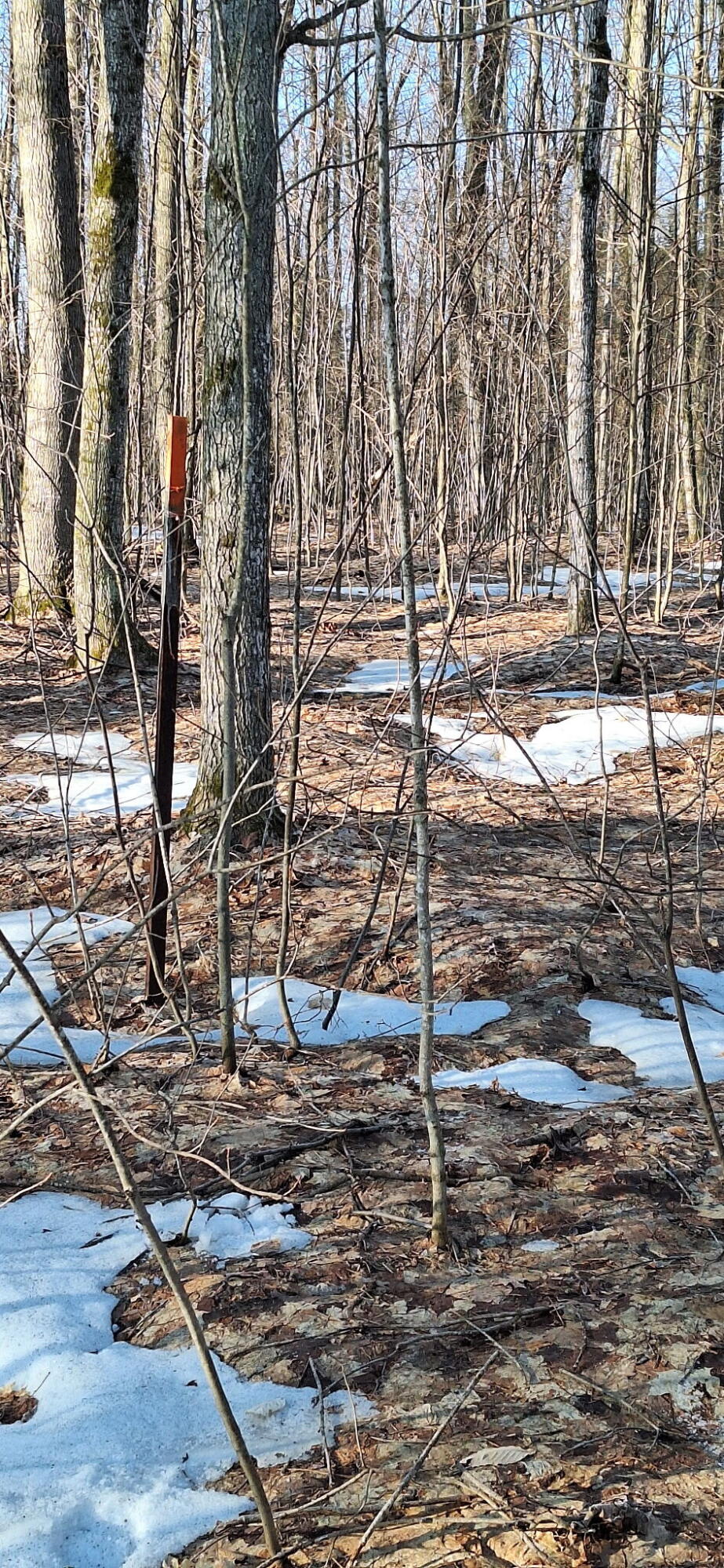 Vl North Sharon Road Kalkaska, MI 49646 - Photo 11 of 22 1000003061