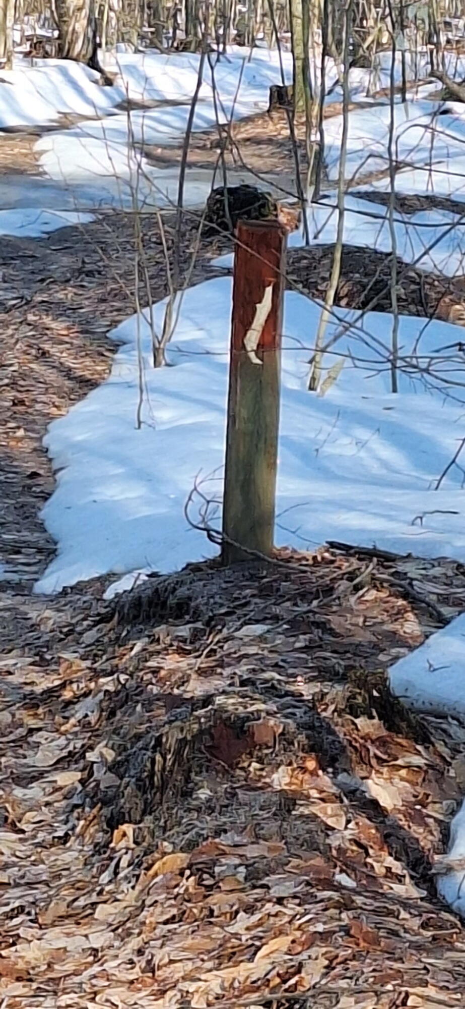 Vl North Sharon Road Kalkaska, MI 49646 - Photo 13 of 22 1000003066