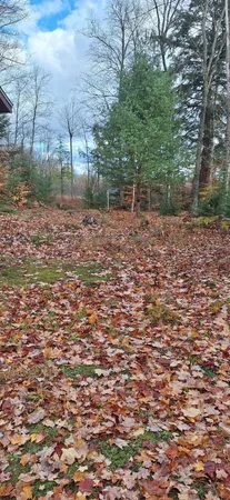 $49,500 | Vl North Sharon Road, Kalkaska, MI 49646