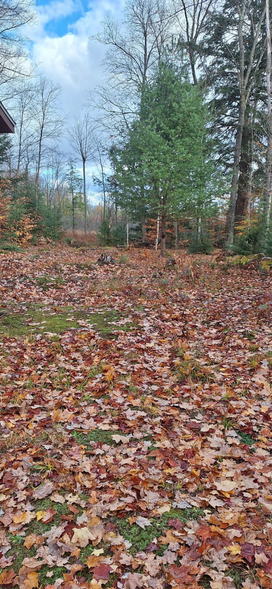 Vl North Sharon Road Kalkaska, MI 49646 - Photo 4 of 22 6871201358195961867