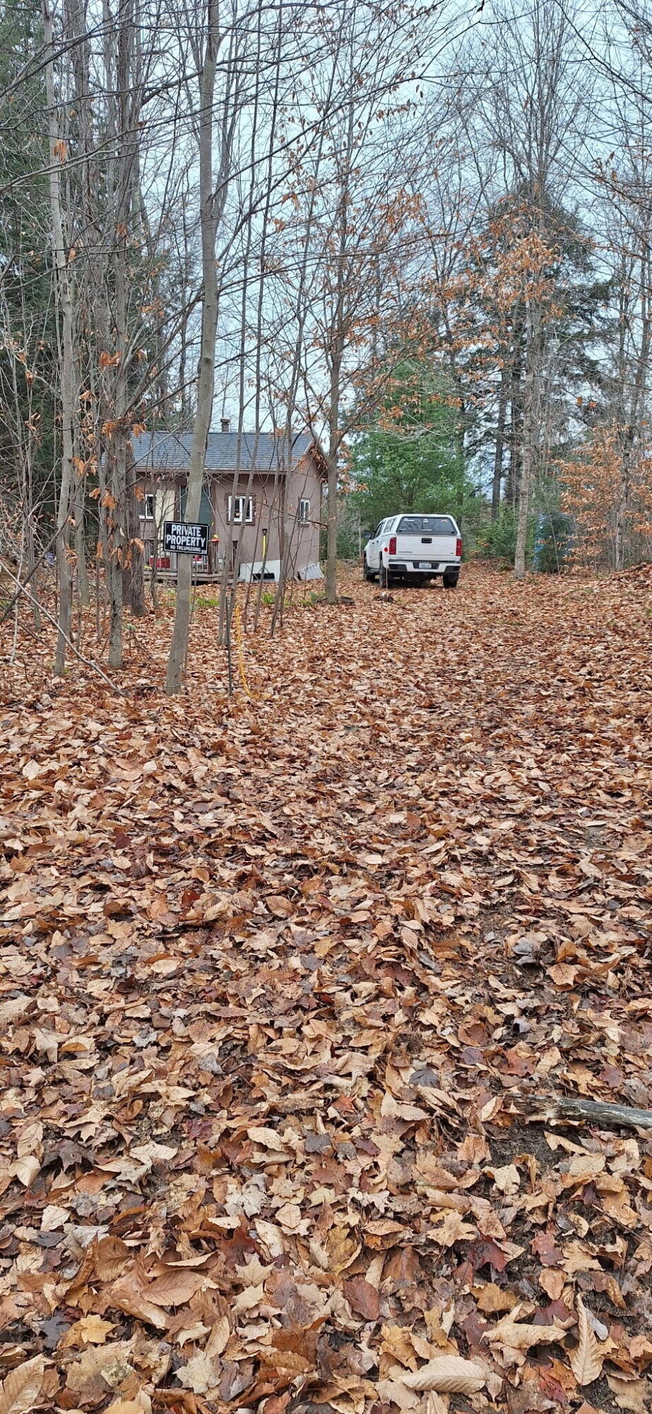 Vl North Sharon Road Kalkaska, MI 49646 - Photo 6 of 22 4130895647570539810