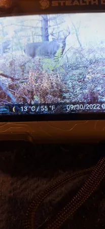 $49,500 | Vl North Sharon Road, Kalkaska, MI 49646