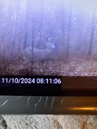 $49,500 | Vl North Sharon Road, Kalkaska, MI 49646