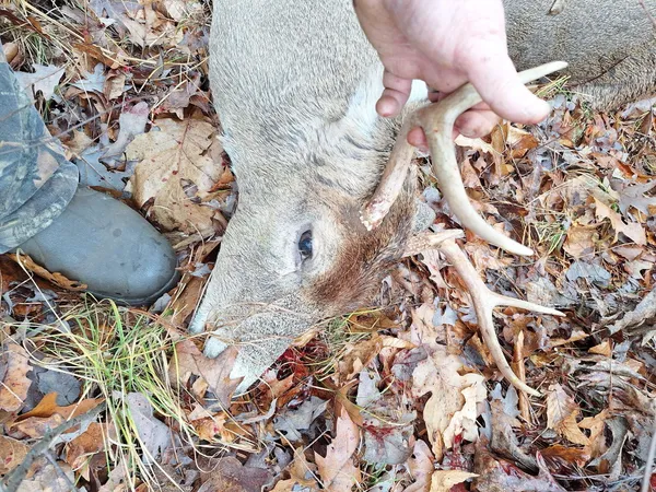 $49,500 | Vl North Sharon Road, Kalkaska, MI 49646