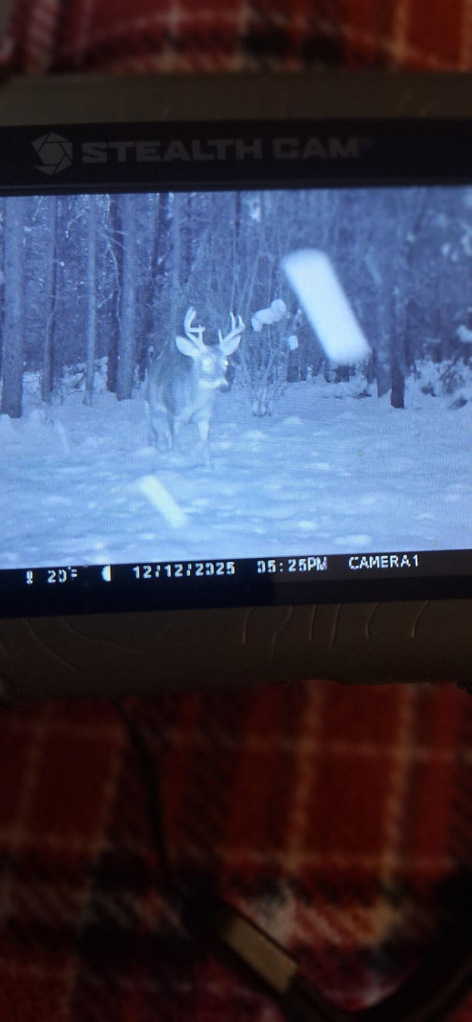 Vl North Sharon Road Kalkaska, MI 49646 - Photo 10 of 22 7172409888846156940