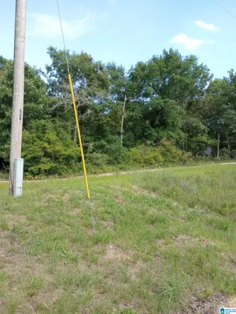 $62,000 | 195 Hyram Road, Seale, AL 36875