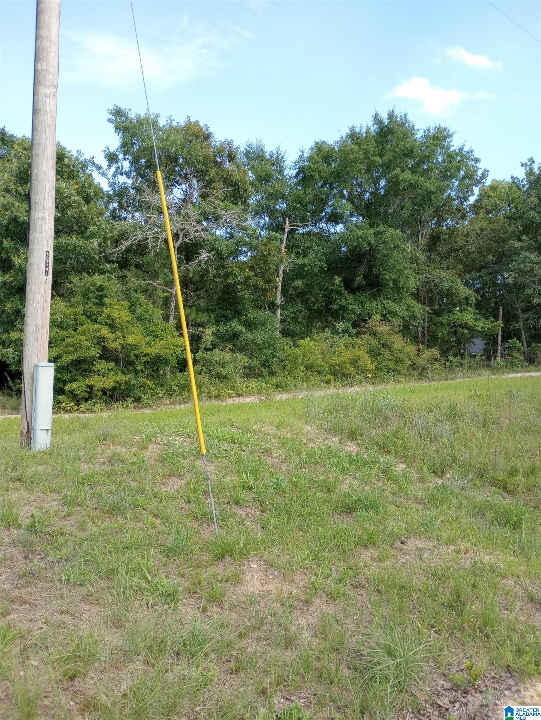 195 Hyram Road Seale, AL 36875 - Photo 1 of 4