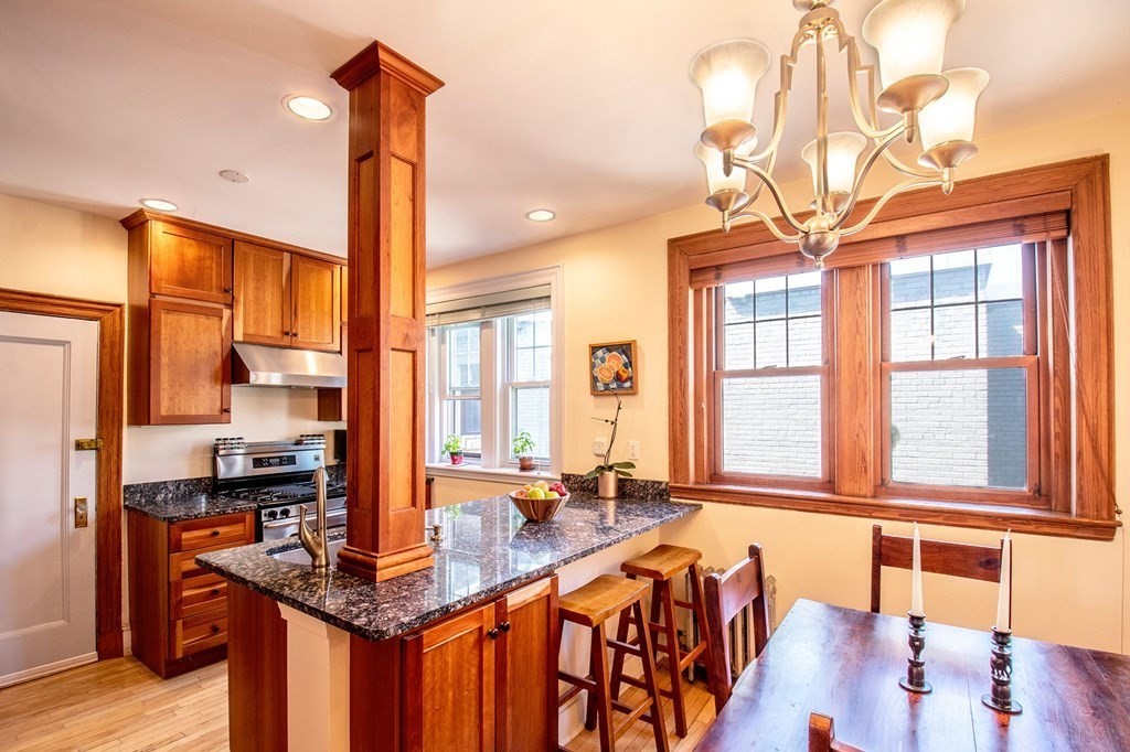 6 Lanark Road, Unit 6 Brookline, MA 02445 - Photo 7 of 23 Gallery Image 7