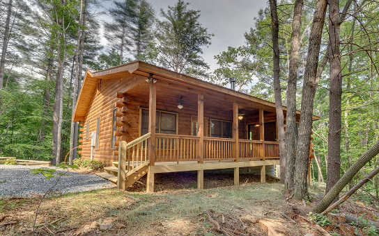 540 Cherry Lake Blue Ridge, GA 30513 - Photo 1 of 1 Main View
