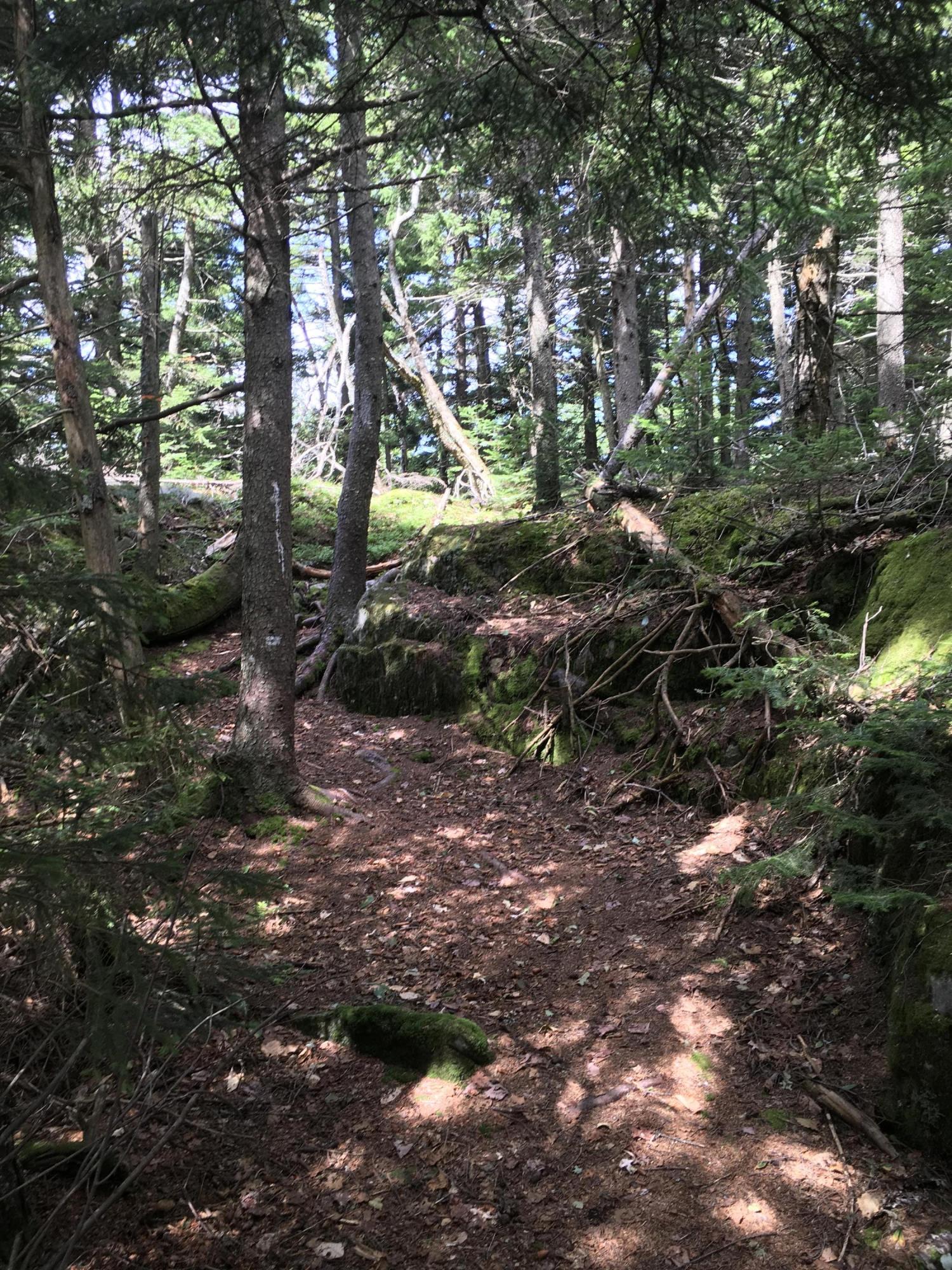 0 Tower Road Rumford, ME 04276 - Photo 17 of 34 E0D3F548-9776-4F4E-AA28-B93D3919241D