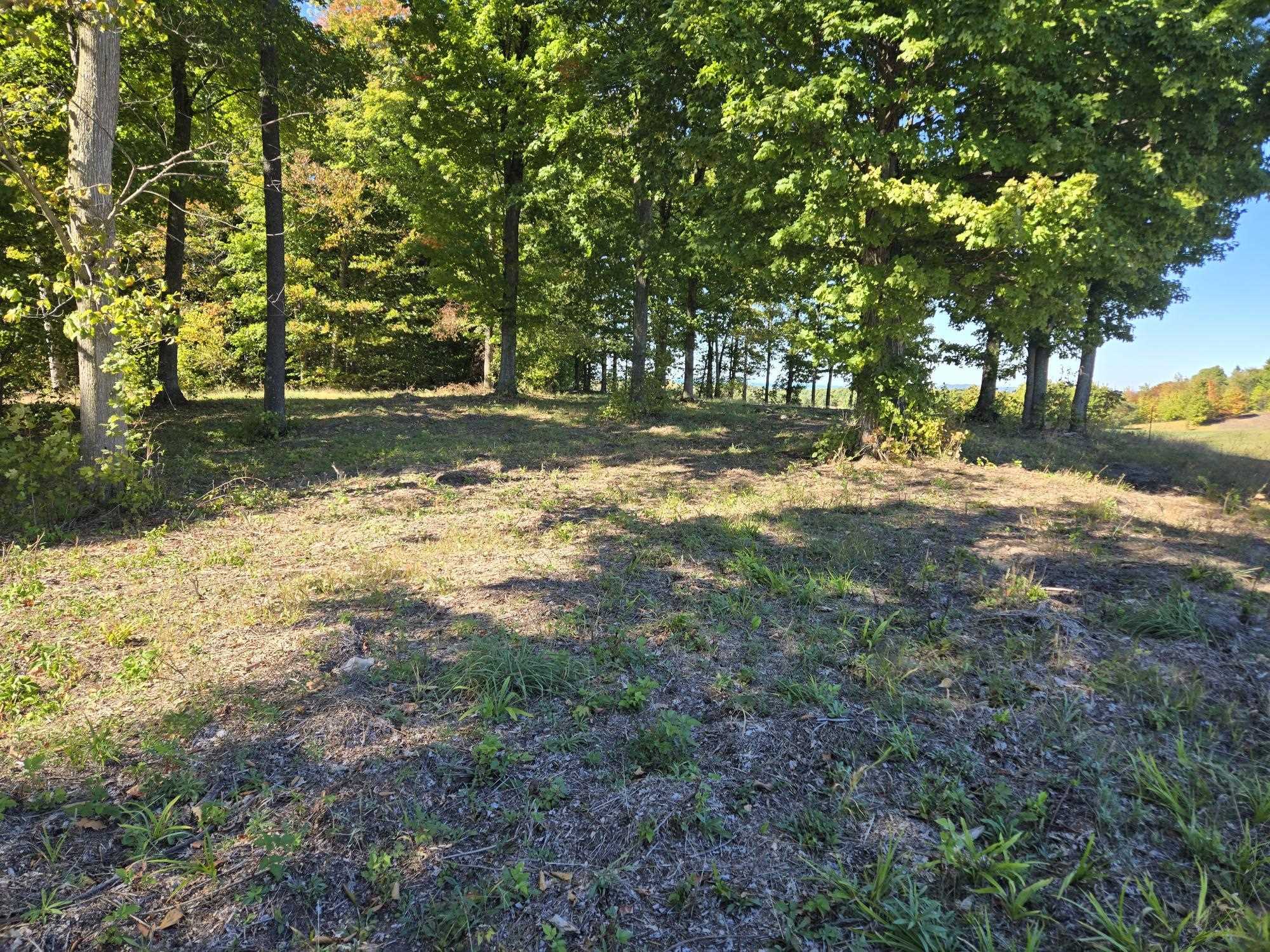 16 Heather Ridge Trail Beulah, MI 49617 - Photo 9 of 12