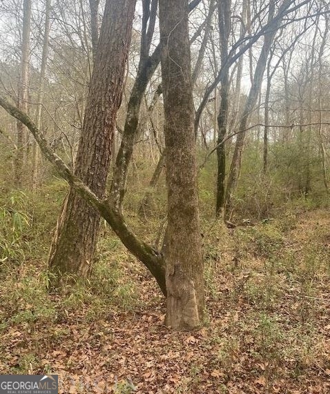 0 Jack Pittman Road Monroe, GA 30019 - Photo 7 of 12