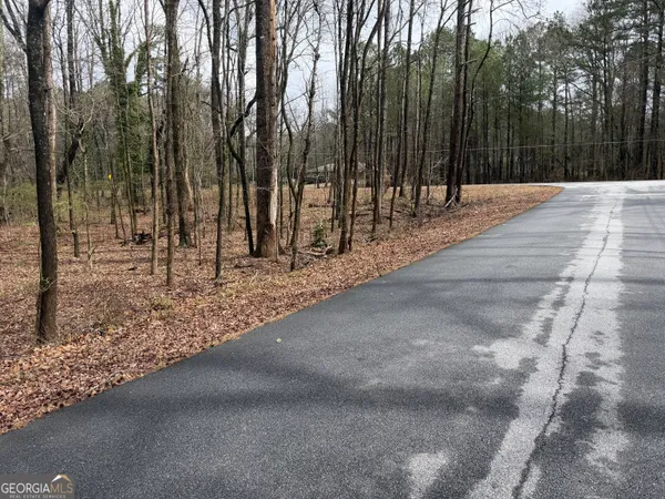a view of backyard with green space