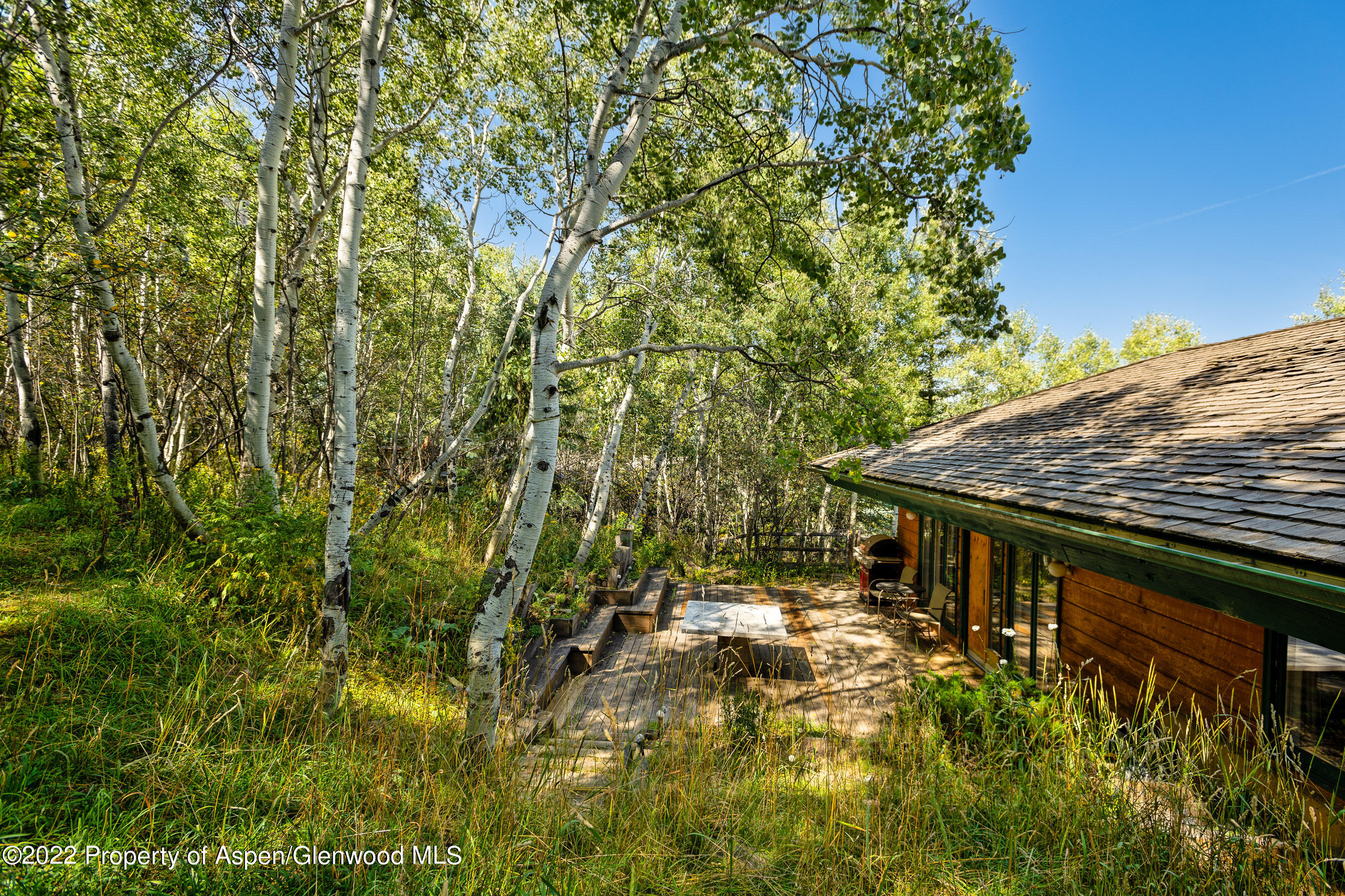 1355 Riverside Drive Aspen, CO 81611 - Photo 11 of 35 1355RiversideDr_DASH_22090619