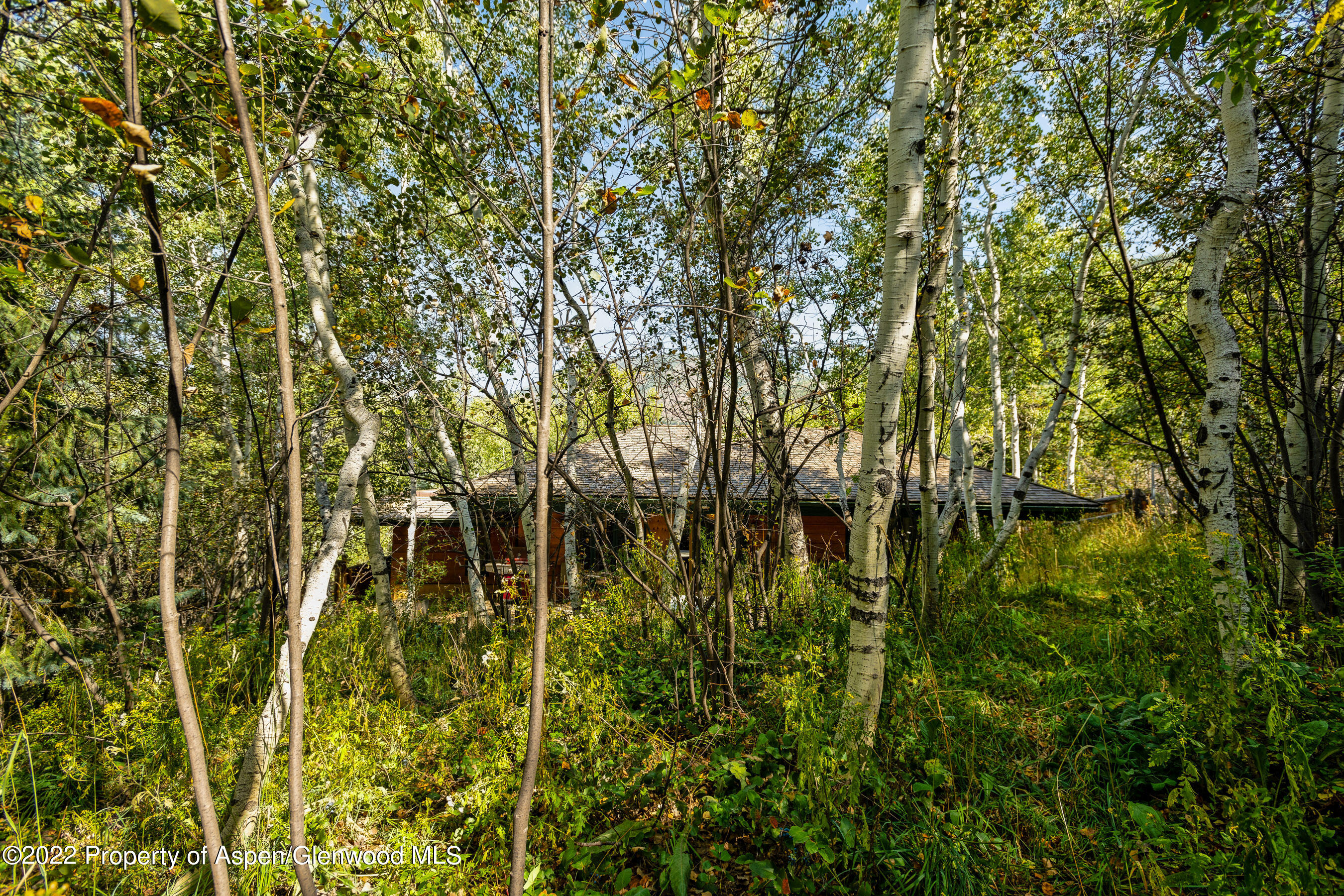 1355 Riverside Drive Aspen, CO 81611 - Photo 12 of 35 1355RiversideDr_DASH_22090620