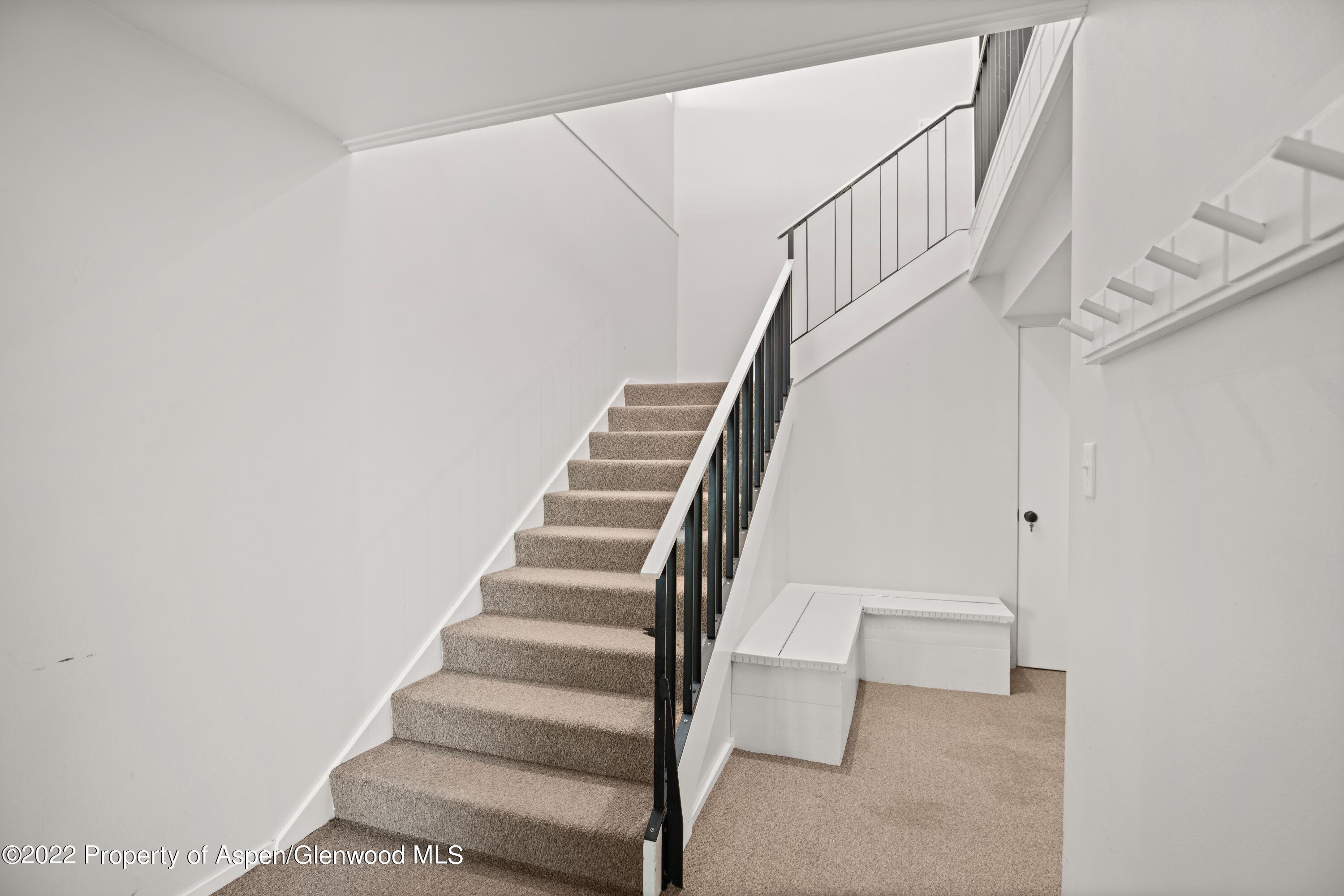 1355 Riverside Drive Aspen, CO 81611 - Photo 19 of 35 1355RiversideDr_HiRes_22090621